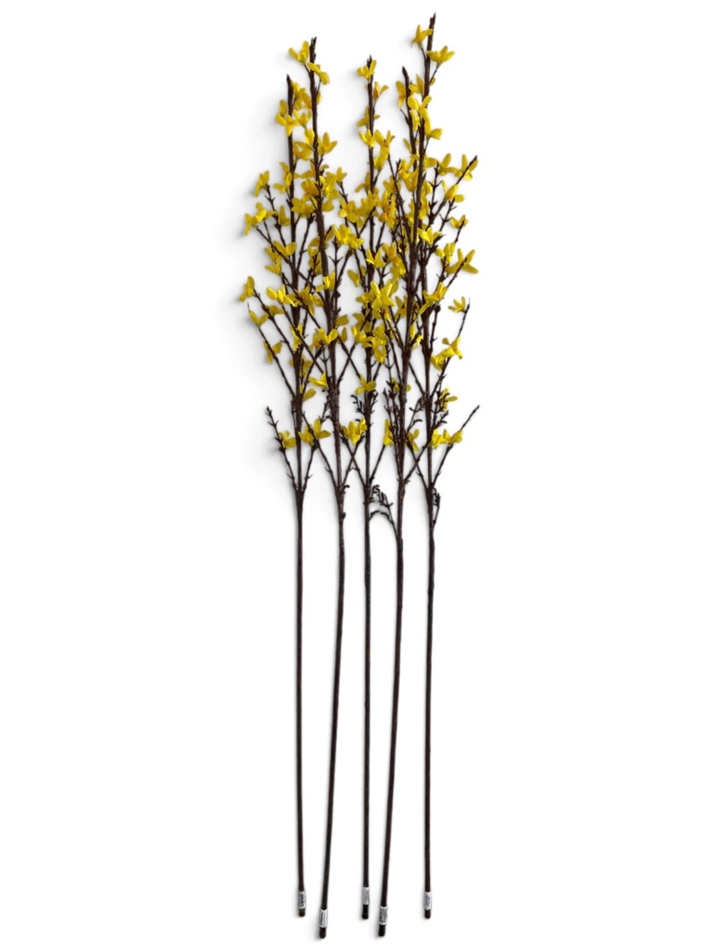 Crate & Barrel Faux Yellow Forsythia Flower Stems Set of 5 NWT